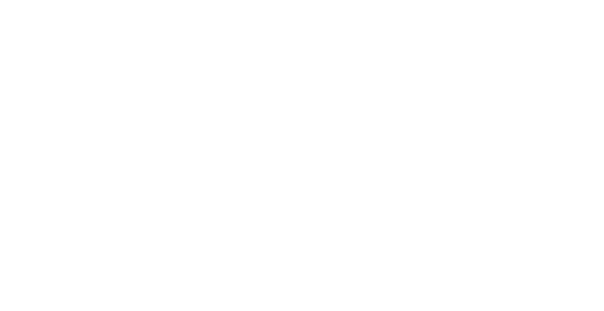 Warrior Seguridad